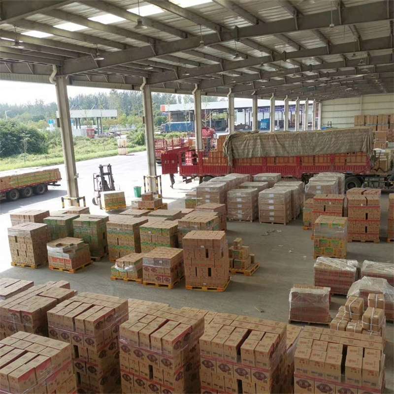 兴平市克拉玛依市物流运输：专线直达与大件货运探秘