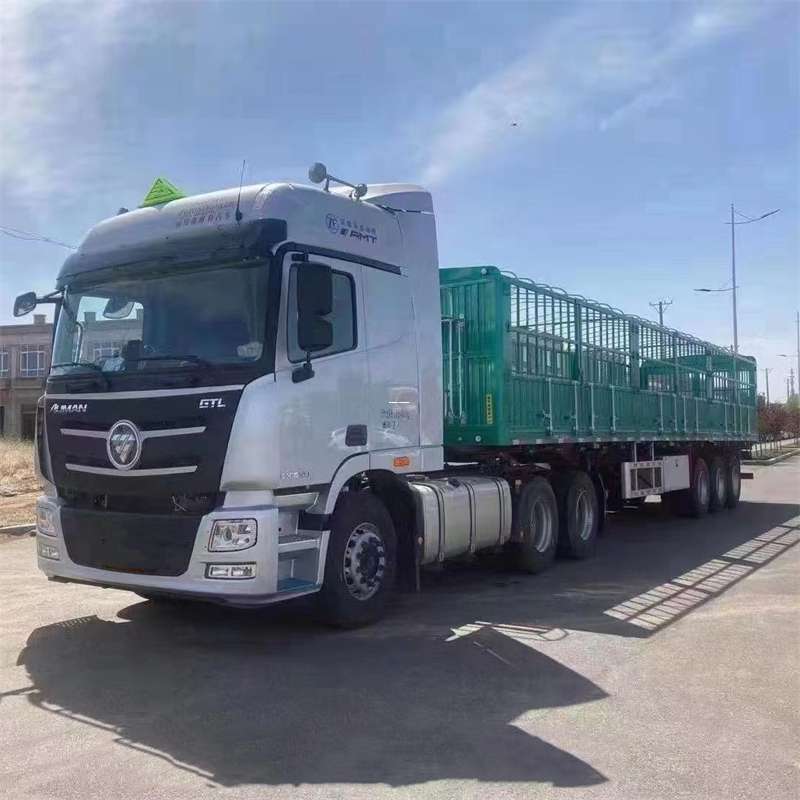 兴平市乌鲁木齐市进仓物流：多元专线直达运输探索